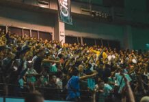 Don’t Just Watch, Win: Sports Betting Guide Sports Betting Guide