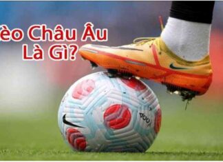 European Odds At Zbet – Attractive Betting Opportunity Zbet