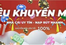 SAY88 Promotion – Receive Promotions to Enhance Your Experience Value SAY88